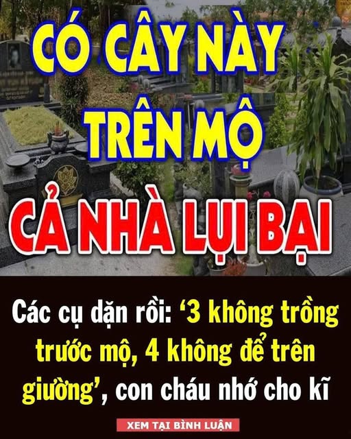 Các cụ dặn: 3 không trồng trước mộ, 4 không để trên giường, con cháu nhớ cho kĩ, vì sao?